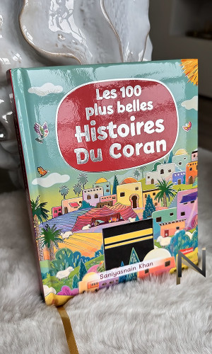 Buch (Französisch): Die 100...